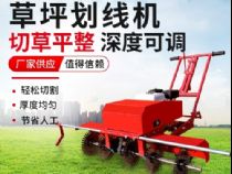 點(diǎn)擊查看詳細(xì)信息<br>標(biāo)題：草皮劃線(xiàn)機(jī) 閱讀次數(shù)：2099